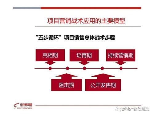 房地產(chǎn)營銷策劃 思路精髓與實(shí)踐指南