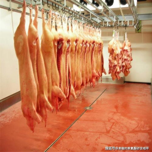 為何僅存儲鮮肉的食品廠冷庫對聚氨酯砂漿地坪存在深度依賴？——必須嚴守的機理選擇與技術突破口